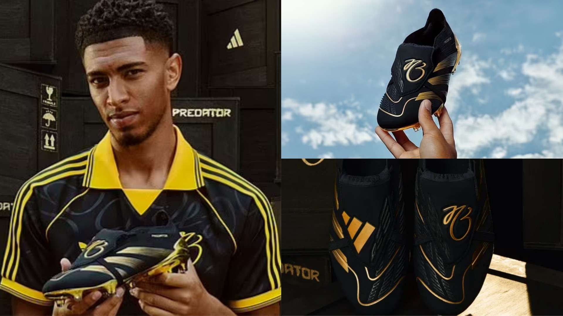 以其包容性 以其包容性